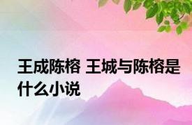 王成陈榕 王城与陈榕是什么小说