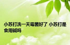 小苏打洗一天霉菌好了 小苏打是食用碱吗