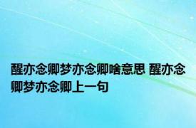 醒亦念卿梦亦念卿啥意思 醒亦念卿梦亦念卿上一句