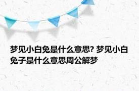 梦见小白兔是什么意思? 梦见小白兔子是什么意思周公解梦