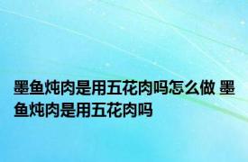 墨鱼炖肉是用五花肉吗怎么做 墨鱼炖肉是用五花肉吗