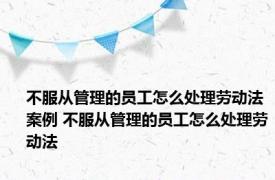 不服从管理的员工怎么处理劳动法案例 不服从管理的员工怎么处理劳动法