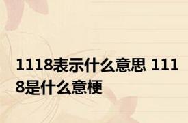 1118表示什么意思 1118是什么意梗