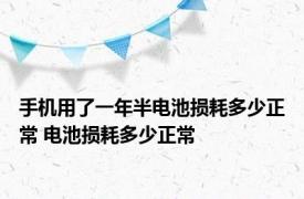 手机用了一年半电池损耗多少正常 电池损耗多少正常