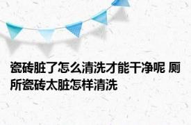 瓷砖脏了怎么清洗才能干净呢 厕所瓷砖太脏怎样清洗