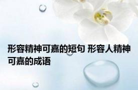 形容精神可嘉的短句 形容人精神可嘉的成语