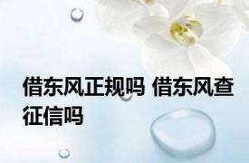 借东风正规吗 借东风查征信吗