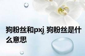 狗粉丝和pxj 狗粉丝是什么意思