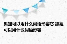 狐狸可以用什么词语形容它 狐狸可以用什么词语形容