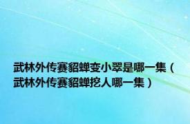 武林外传赛貂蝉变小翠是哪一集（武林外传赛貂蝉挖人哪一集）