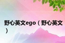 野心英文ego（野心英文）