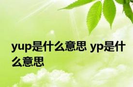 yup是什么意思 yp是什么意思