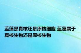 蓝藻是真核还是原核细胞 蓝藻属于真核生物还是原核生物