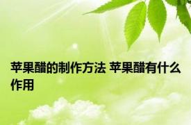 苹果醋的制作方法 苹果醋有什么作用 