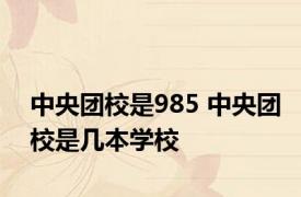 中央团校是985 中央团校是几本学校