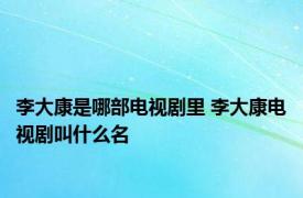 李大康是哪部电视剧里 李大康电视剧叫什么名