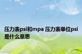 压力表psi和mpa 压力表单位psi是什么意思