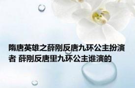 隋唐英雄之薛刚反唐九环公主扮演者 薛刚反唐里九环公主谁演的