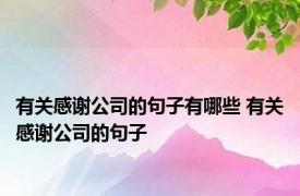 有关感谢公司的句子有哪些 有关感谢公司的句子