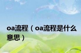 oa流程（oa流程是什么意思）