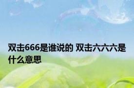 双击666是谁说的 双击六六六是什么意思