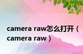 camera raw怎么打开（camera raw）