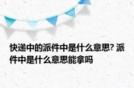 快递中的派件中是什么意思? 派件中是什么意思能拿吗