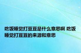 吃饭睡觉打豆豆是什么意思啊 吃饭睡觉打豆豆的来源和意思