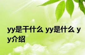 yy是干什么 yy是什么 yy介绍