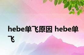 hebe单飞原因 hebe单飞 