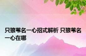 只狼苇名一心招式解析 只狼苇名一心在哪