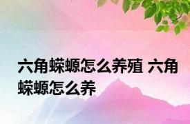 六角蝾螈怎么养殖 六角蝾螈怎么养