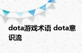 dota游戏术语 dota意识流 