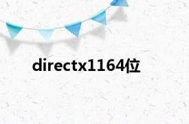 directx1164位