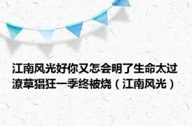 江南风光好你又怎会明了生命太过潦草猖狂一季终被烧（江南风光）