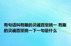 有句话叫有趣的灵魂百里挑一 有趣的灵魂百里挑一下一句是什么