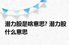 潜力股是啥意思? 潜力股什么意思