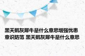 黑天鹅灰犀牛是什么意思增强忧患意识防范 黑天鹅灰犀牛是什么意思