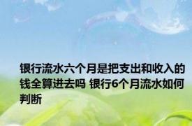 银行流水六个月是把支出和收入的钱全算进去吗 银行6个月流水如何判断