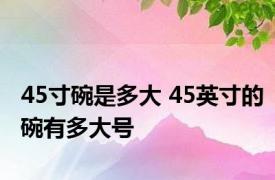 45寸碗是多大 45英寸的碗有多大号