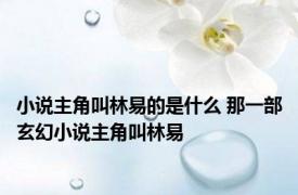 小说主角叫林易的是什么 那一部玄幻小说主角叫林易