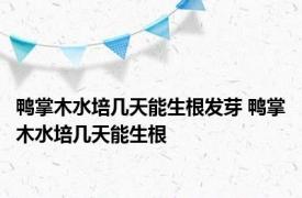 鸭掌木水培几天能生根发芽 鸭掌木水培几天能生根