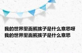 我的世界里面熊孩子是什么意思呀 我的世界里面熊孩子是什么意思