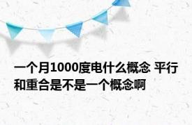 一个月1000度电什么概念 平行和重合是不是一个概念啊