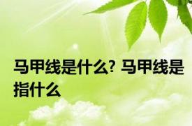 马甲线是什么? 马甲线是指什么