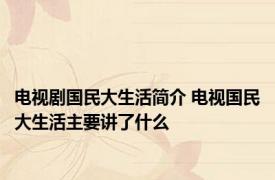 电视剧国民大生活简介 电视国民大生活主要讲了什么