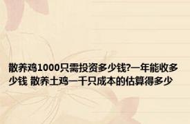 散养鸡1000只需投资多少钱?一年能收多少钱 散养土鸡一千只成本的估算得多少