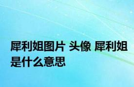 犀利姐图片 头像 犀利姐是什么意思