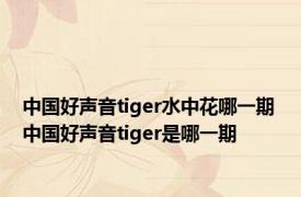 中国好声音tiger水中花哪一期 中国好声音tiger是哪一期