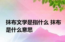 抹布文学是指什么 抹布是什么意思